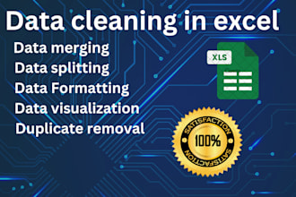 do excel, data cleaning, excel big data and organize excel data