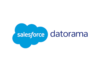 be salesforce marketing cloud intelligence datorama mci expert