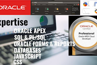 develop, design and customize oracle apex applications
