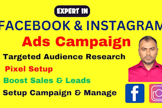 setup facebook  instagram ads campaign management