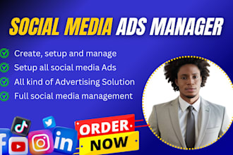 manage facebook, instragram ads campaign, meta social media ads manager