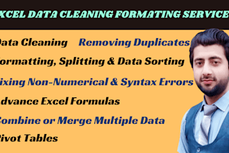 do ms excel data cleaning and formatting, merging, splitting, sorting