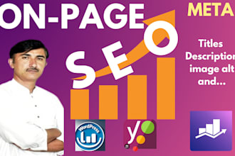 write SEO optimized meta titles, descriptions, headings, and alt tag