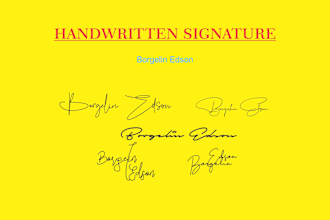 create an elegant handwritten signature logo for professionals