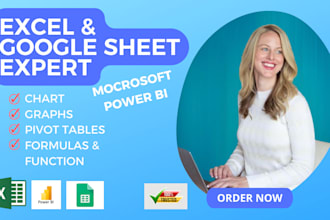 do excel, spread sheet functions, expert in power bi, google sheet professional