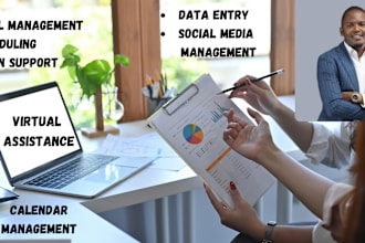 do professional virtual assistance data entry web research and admin support