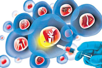 write on stem cells and bioengineering
