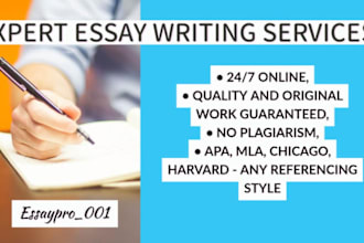 do human rights essays, political science and international relations essays