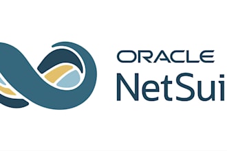 be your expert netsuite technical consultant
