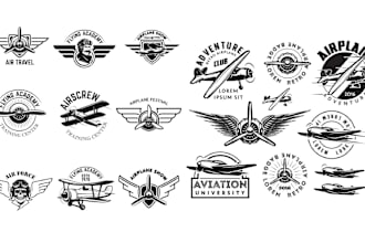 do hand drawn, airplane, aviation or t shirt logo for your