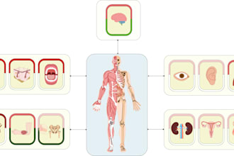 draw graphical abstracts and article illustrations