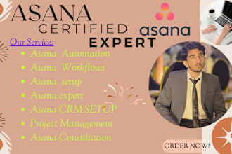 your asana virtual assistant, asana project management, asana crm expert