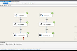 do database ssis task etl