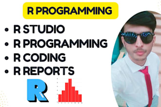 do r coding r studio and r programming assignments and reports