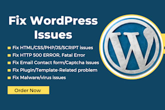 fix your wordpress issues and bugs