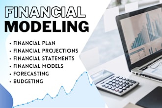 do financial modeling, financial projections, and profit and loss