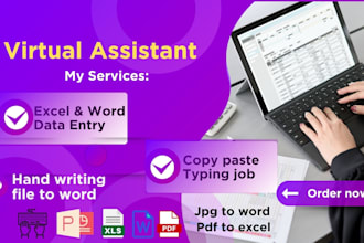 data entry,translate, virtual assistant,excel data entry,jpg to word