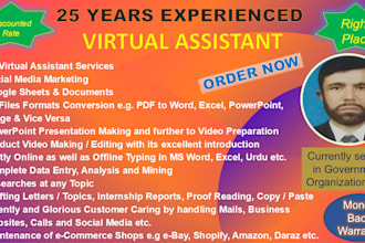complete your all virtual assistant tasks efficiently