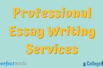 write outstanding persuasive, informative, reflection and argumentative essays