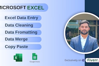 do data entry, clean, format, merge and split the excel data