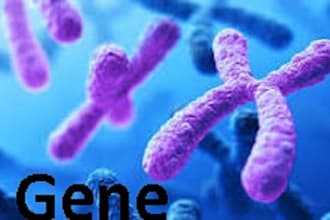 assist in genetics, genomics, and molecular biology