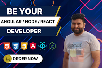 be your expert web developer for angular, react, node projects
