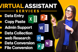 virtual assistance, copy paste, data entry, ms word excel