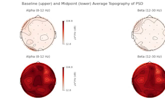 do biomedical signal processing