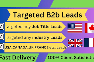do USA,UK,canada,france targeted b2b leads
