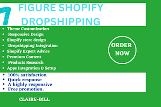 build high converting shopify website, shopify dropshipping