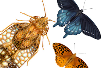 do realistic insect illustrations