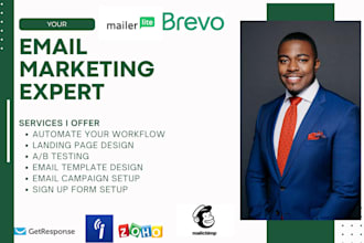 work on your mailchimp, getresponse, iconatct, mailerlite, brevo, zoho software