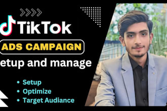 setup, run tiktok ads campaign, expert tiktok ads manager, marketing