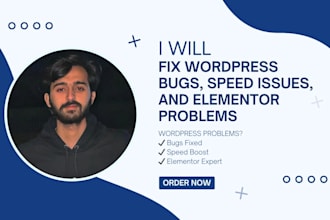 fix wordpress bugs, speed issues, and elementor problems