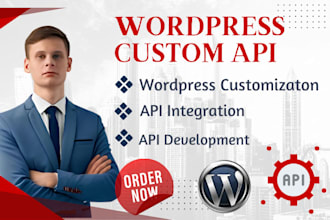 integrate and develop custom API for your wordpress website
