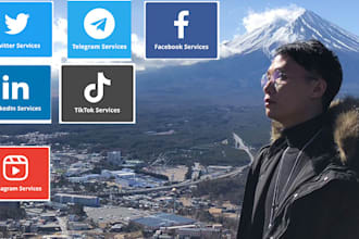 boost up the visitors for your social media account