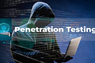 execute penetration testing your site