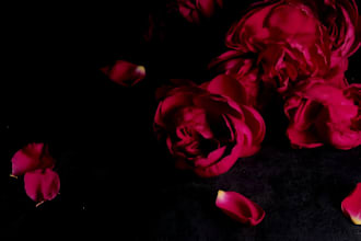 ghostwrite your romance and dark romance story