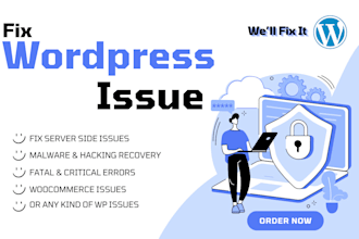 fix any wordpress issues, bugs or errors, malware issues