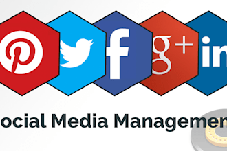 manage Your Social Media Accounts and Provide Reports