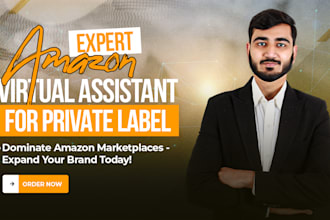 amazon fba virtual assistant, amazon ppc expert, listing optimization VA