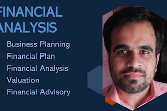 do financial plan, and business plans and analysis
