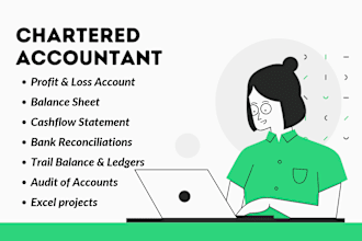 do profit and loss, bookkeeping , financial statements