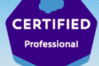 be your salesforce admin and developer