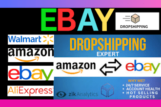 manage ebay store for 2 step dropshipping and dropshipping