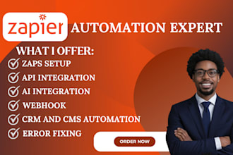 setup zapier webhook, zapier automation, zapier integration, API expert
