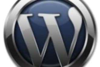 install Wordpress and a theme of your choice on your website