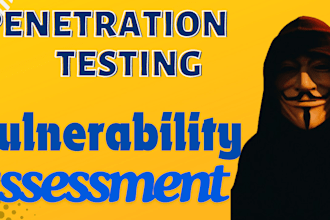 do penetration test and vulnerability assessment your website