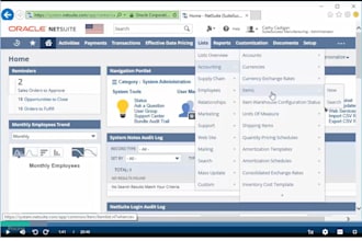 do your oracle netsuite training individual or company