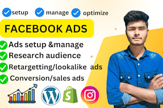 setup fb and ig ads for shopify,meta ads manage for profitable sales, gtm, api